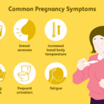 Pregnancy Symptoms